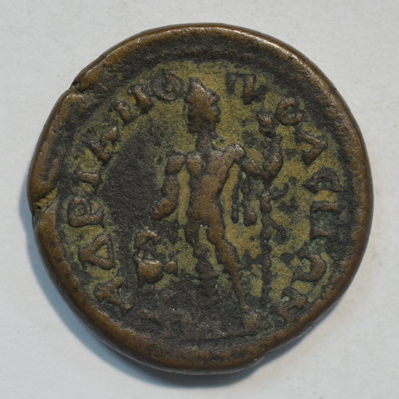Toomey Coll.
