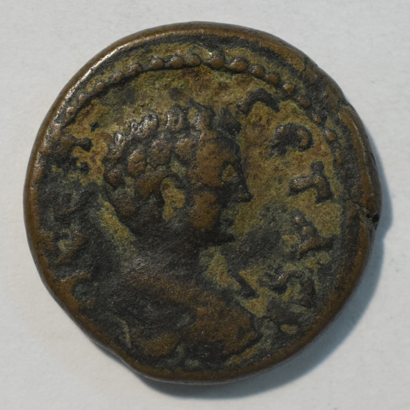 Toomey Coll.