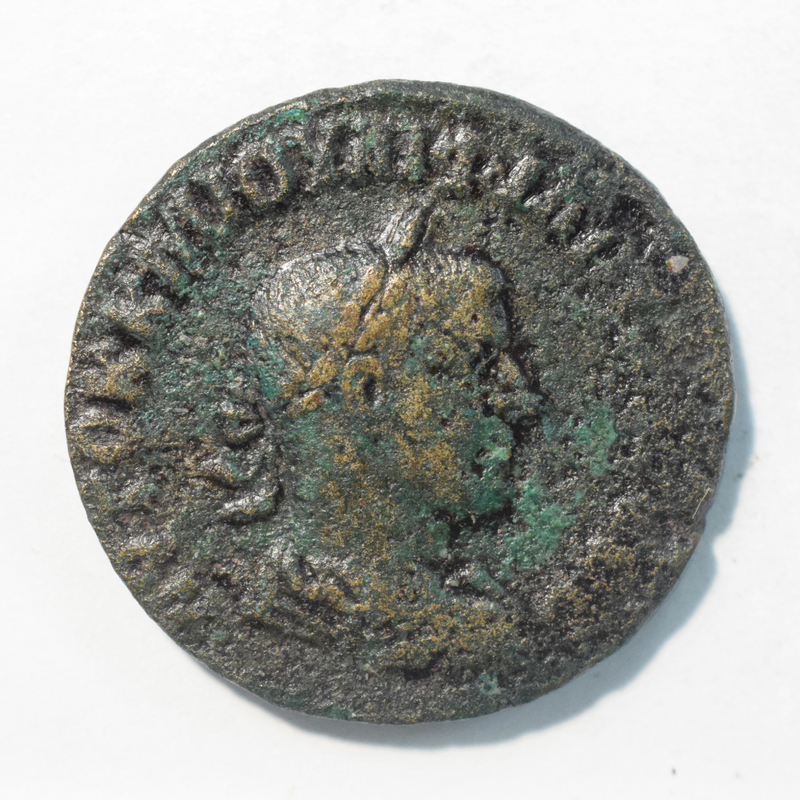 Toomey Coll.
