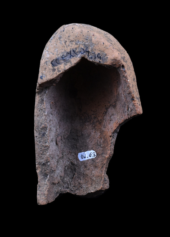 Fragmentary uterus irregularly oval with h ribbing, flat on back.