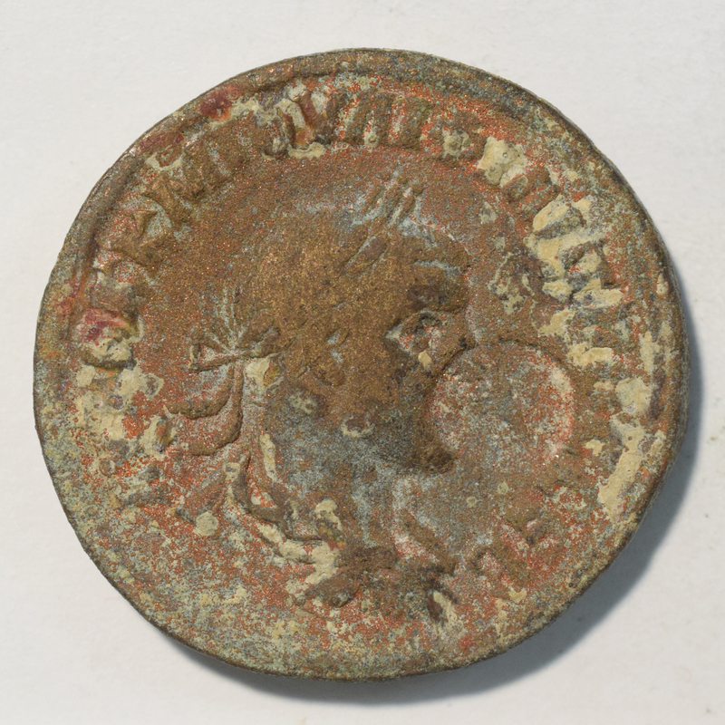 Mislabeled? Toomey Coll.