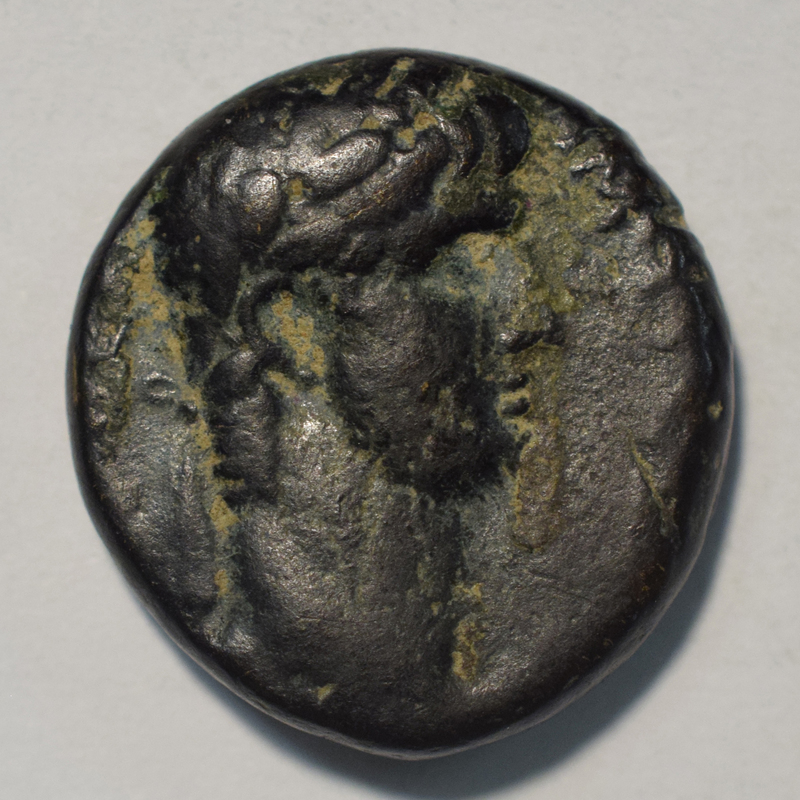 Mislabeled? (= 3197)Toomey Coll.