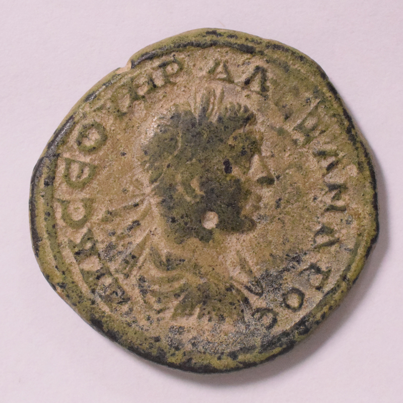Toomey Coll.