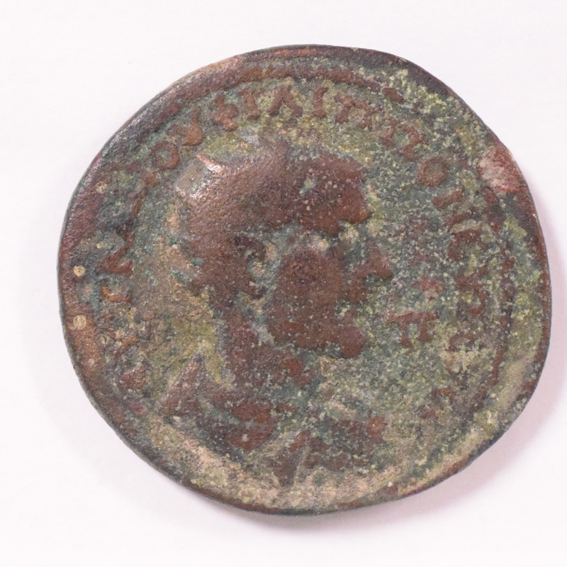Toomey Coll. (= 3196)