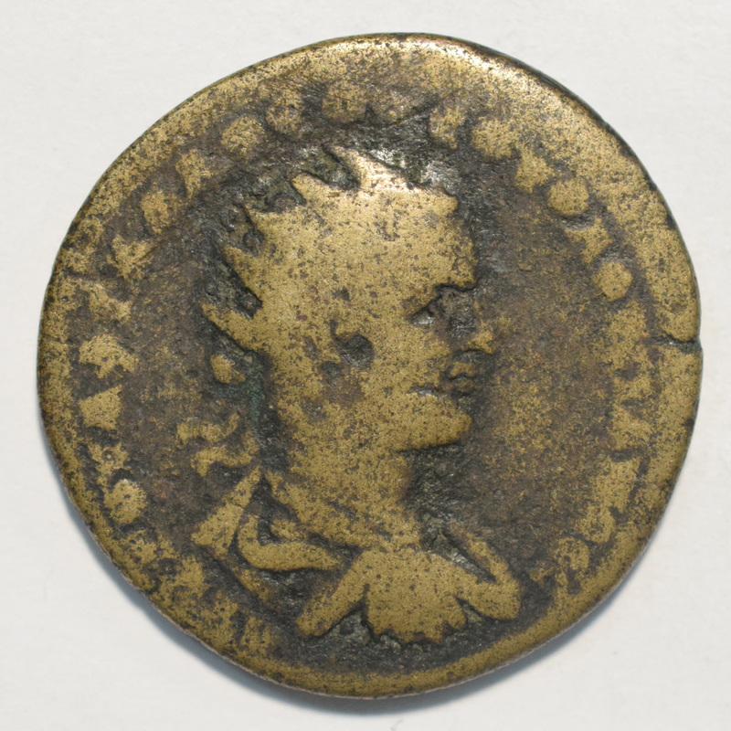 mislabeled? Toomey Coll.