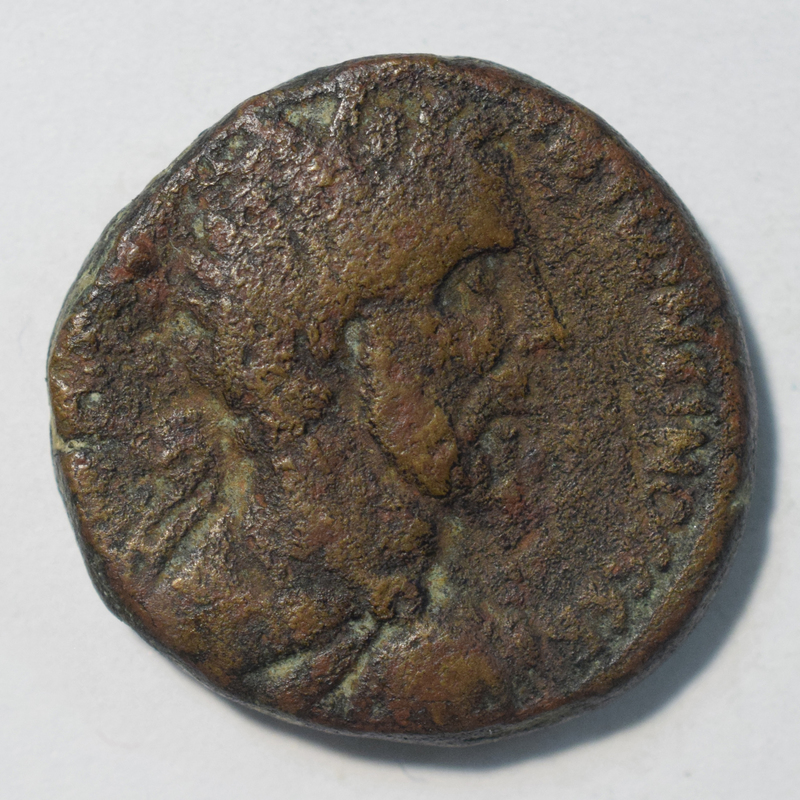Toomey Coll.