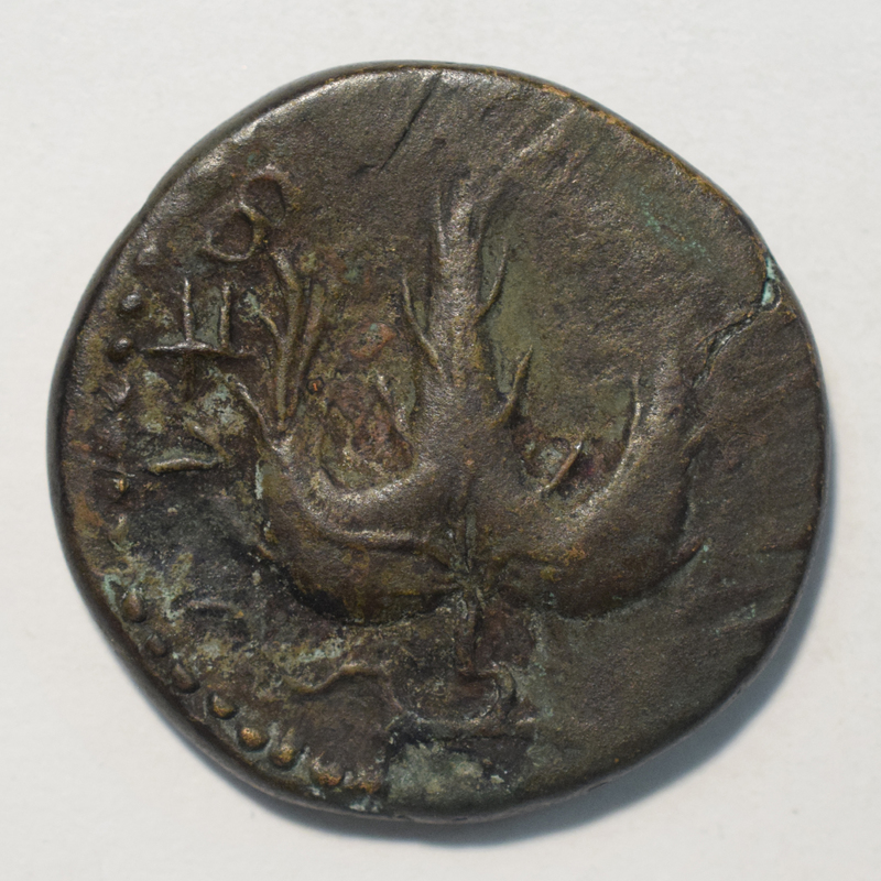 Bar Kochba revolt, 2nd year; see 6146