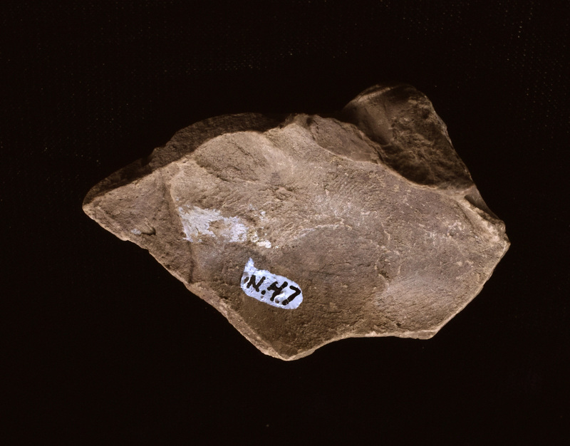 Fragment of figure, possibly male, seated on squarish ?throne.  Only recognizable portion of figure preserved is right arm bent up from elbow, possibly covered by some kind of cloak.