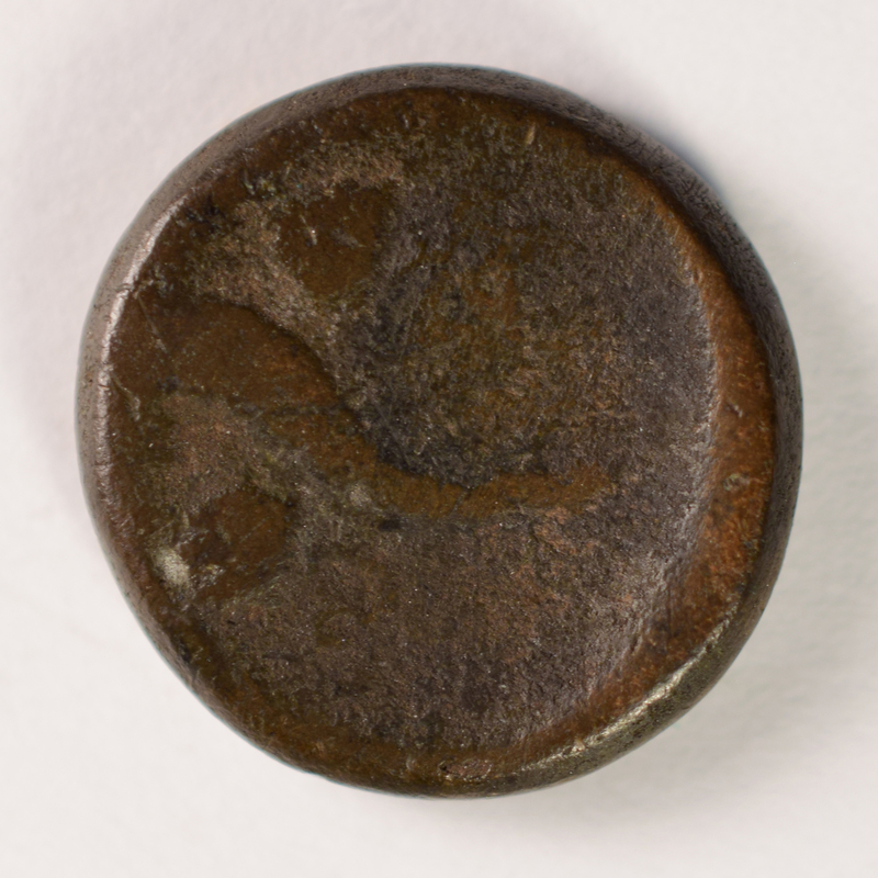 Toomey Coll.