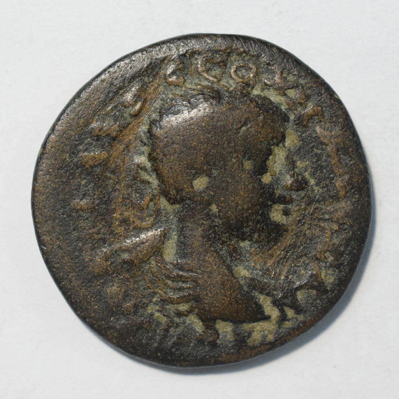 Toomey Coll. (= 3195)