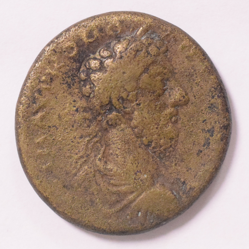 Toomey Coll.