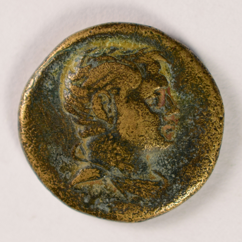 Toomey Coll.