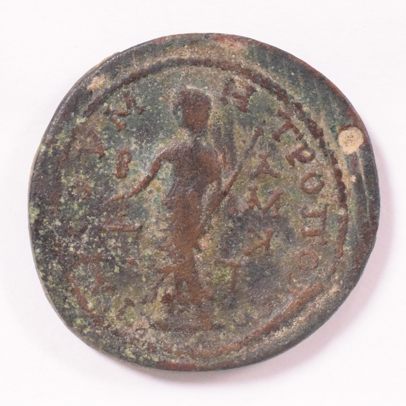 Toomey Coll. (= 3196)