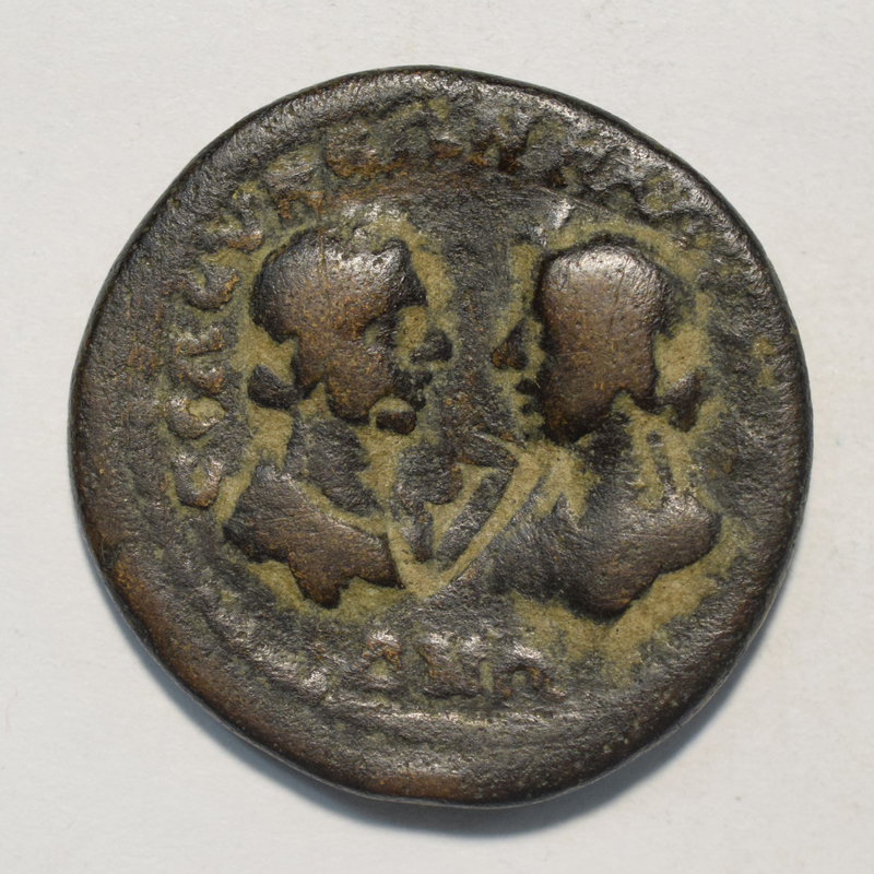 Toomey Coll. (= 3195)