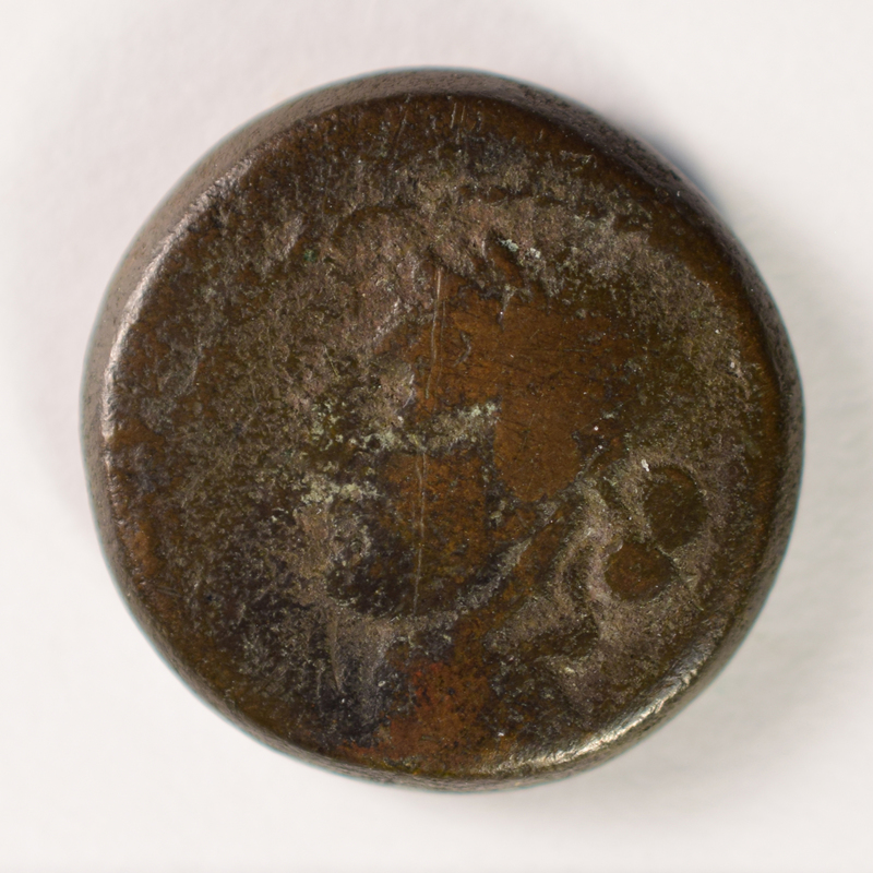 Toomey Coll.