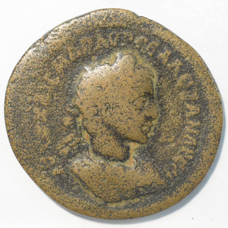 Toomey Coll.