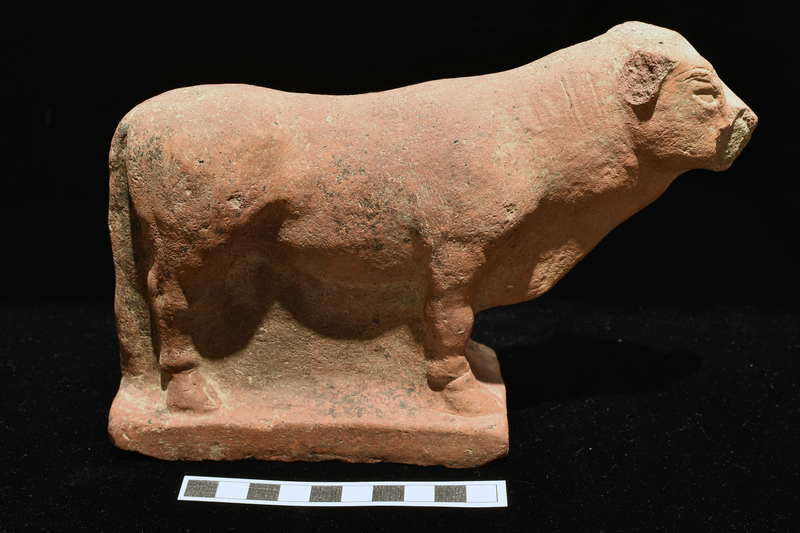 Standing bull with area between legs at front and under belly solid; between legs at rear tail brought down as support continuing into rectangular base.  Haunches and shoulders well modeled; chest marked by shallowly undulating line pinched to thick apex with shallow diagonal incision marking folds of flesh; triangular ears, incised brows and eyes; traces of nostril incision on left side. Small genitalia and fetlocks above hooves modeled.