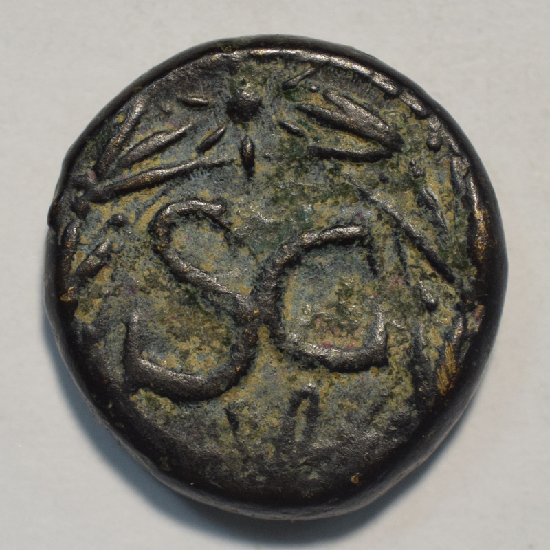 Mislabeled? (= 3197)Toomey Coll.
