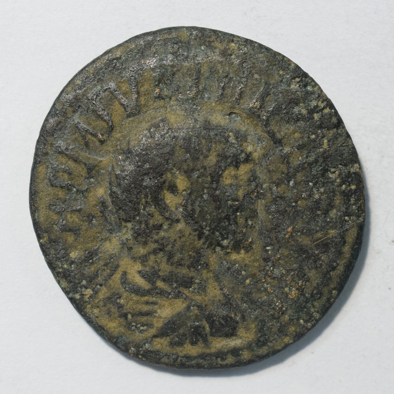 Toomey Coll.