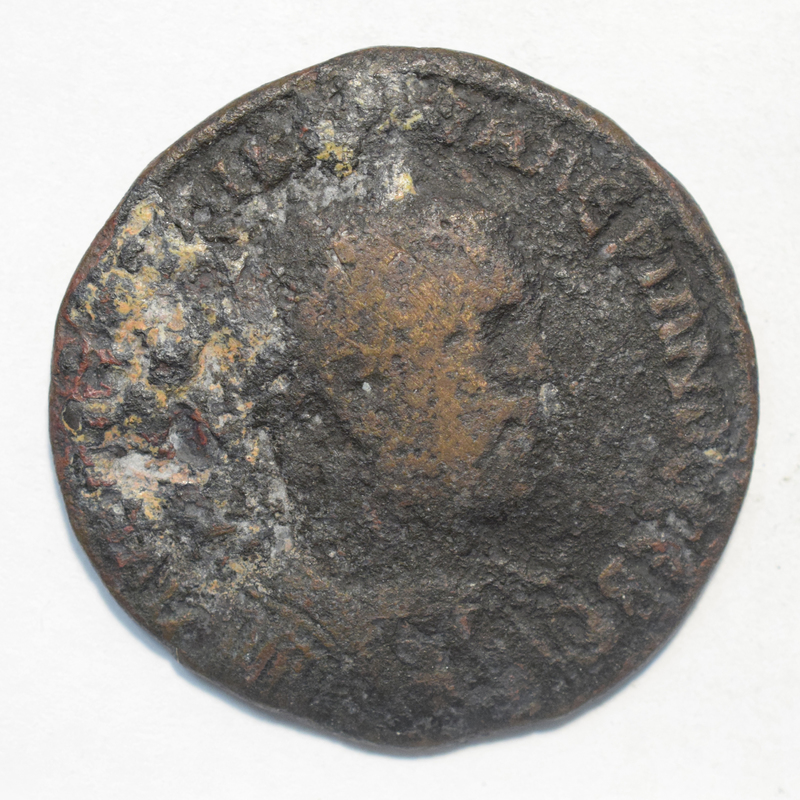 Toomey Coll. (= 3190)