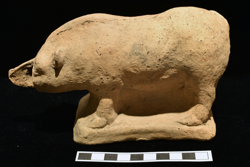Standing boar with front legs diagonal to front rear legs about vertical with space between legs front and back and under belly solid, the whole resting on low rectangular base. Well modeled haunches, shoulders, and crest, with tail curved up over right rear leg.  Triangular ears, bulging brows over lightly incised eyes, nostrils and mouth indicated by incisions.  Vent hole in center of base.