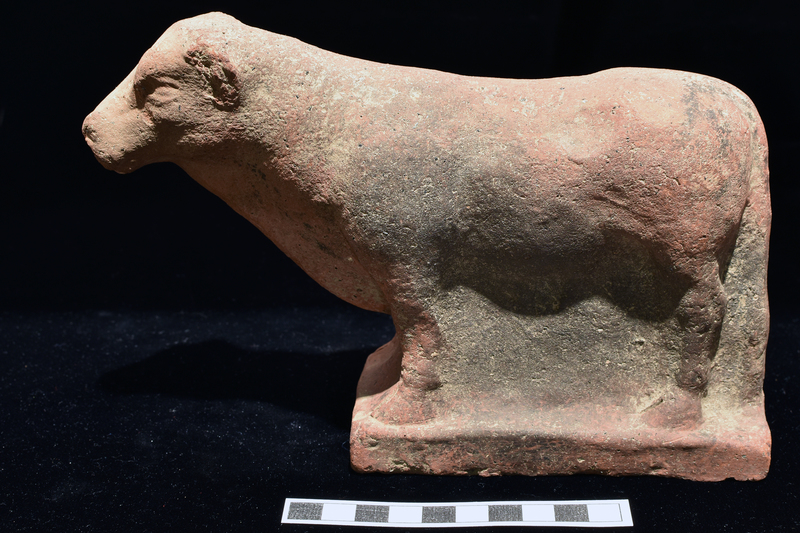 Standing bull with area between legs at front and under belly solid; between legs at rear tail brought down as support continuing into rectangular base.  Haunches and shoulders well modeled; chest marked by shallowly undulating line pinched to thick apex with shallow diagonal incision marking folds of flesh; triangular ears, incised brows and eyes; traces of nostril incision on left side. Small genitalia and fetlocks above hooves modeled.
